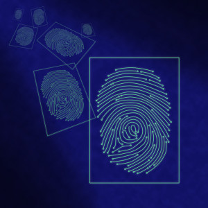 Electronic digital fingerprint processing